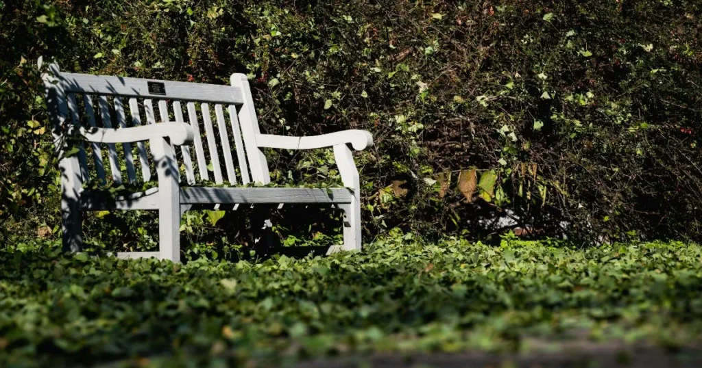 upcycled chair tree bench