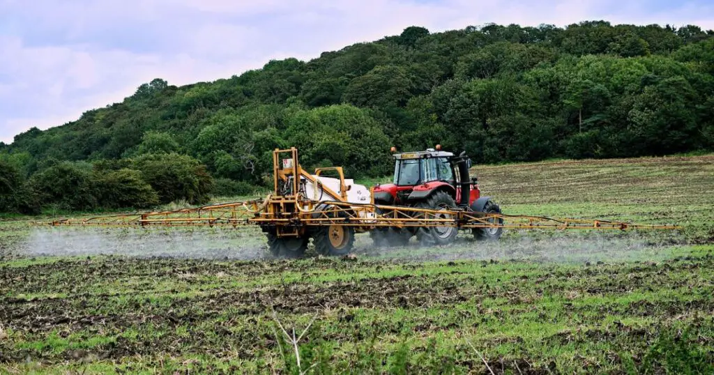 using 10-10-10 fertilizer